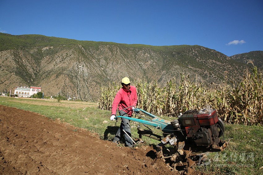 田園藏鄉(xiāng)美如畫，百姓脫貧喜在心