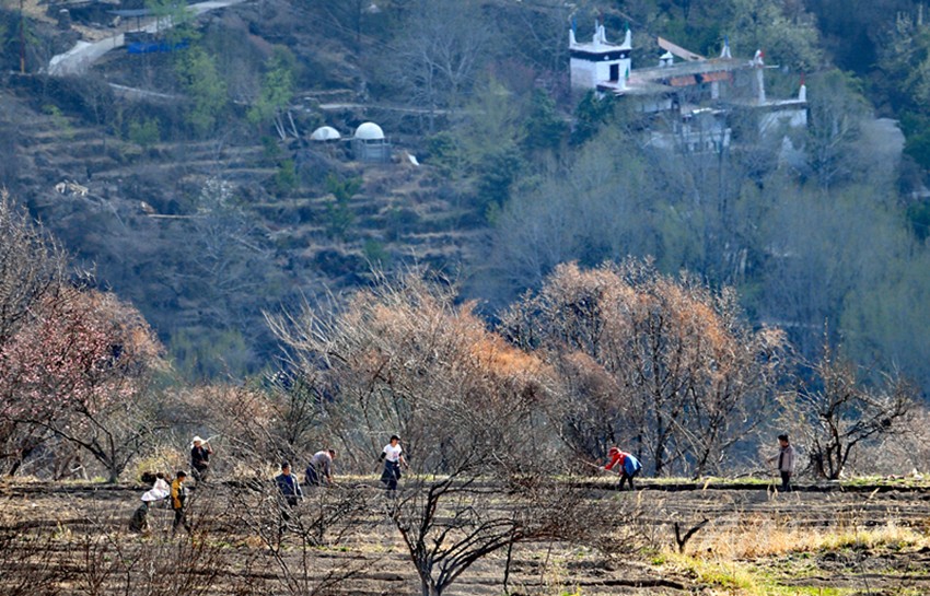 鉚足“?！眲鸥髅? onload=