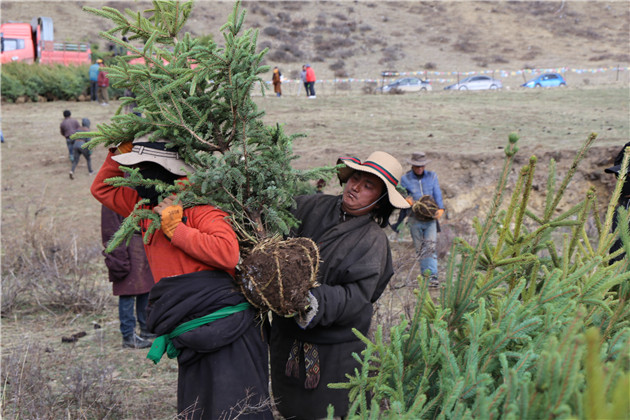 色達縣農(nóng).jpg 色達縣農(nóng).jpg