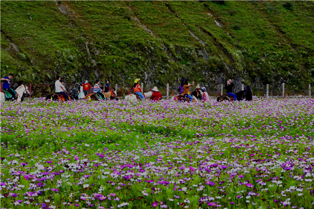 游客們.jpg 游客們.jpg