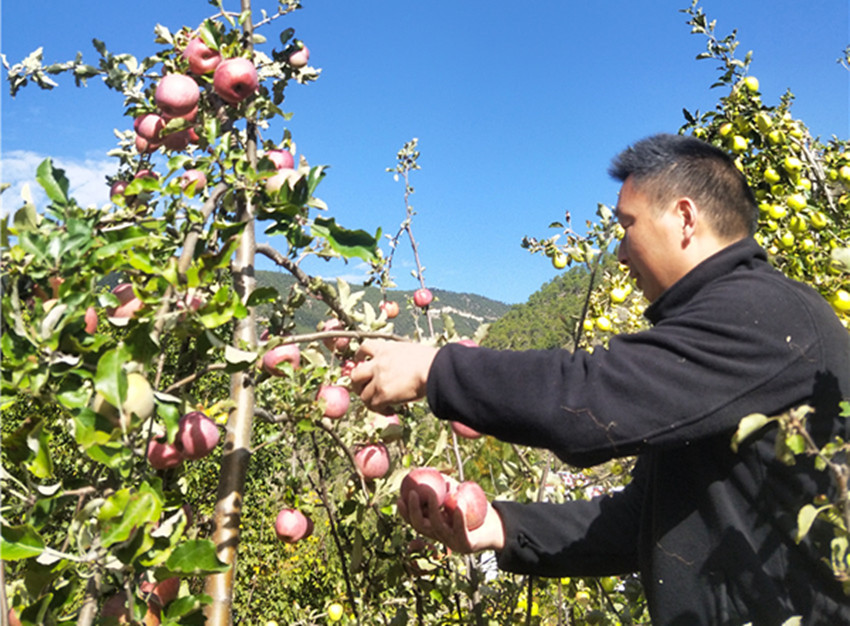 楊世明幫.jpg 楊世明幫.jpg