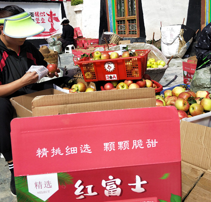 果農(nóng)正在.jpg 果農(nóng)正在.jpg