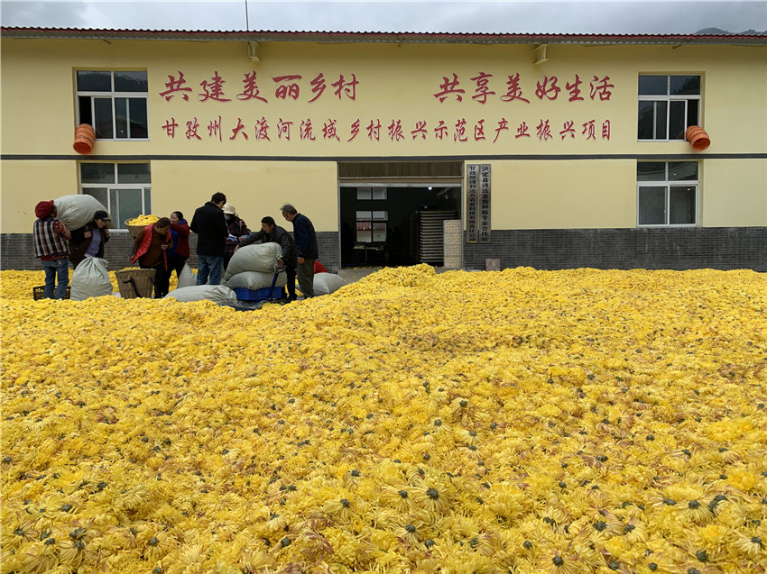 鄉(xiāng)村振興.jpg 鄉(xiāng)村振興.jpg