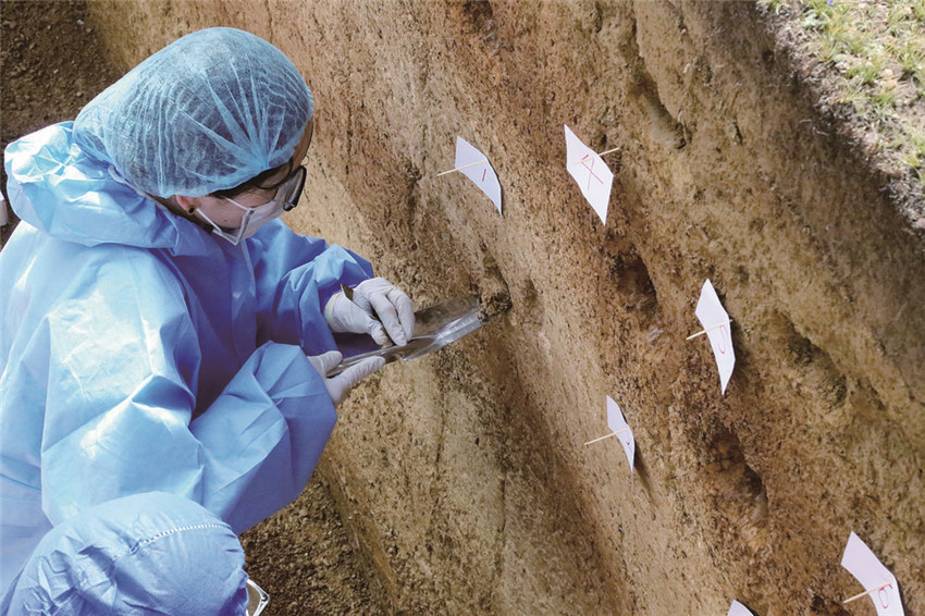 古DNA樣品.jpg 古DNA樣品.jpg