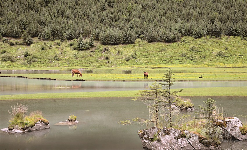 去甘孜 邂逅絕美湖泊海子！