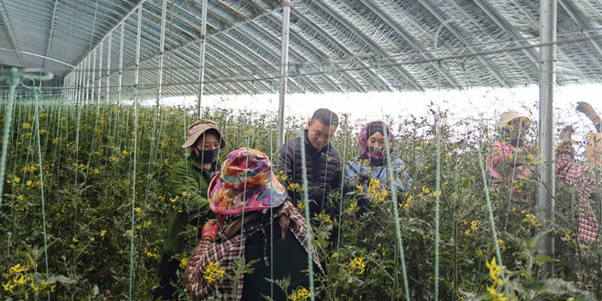 圖為盛珂.jpg 圖為盛珂.jpg