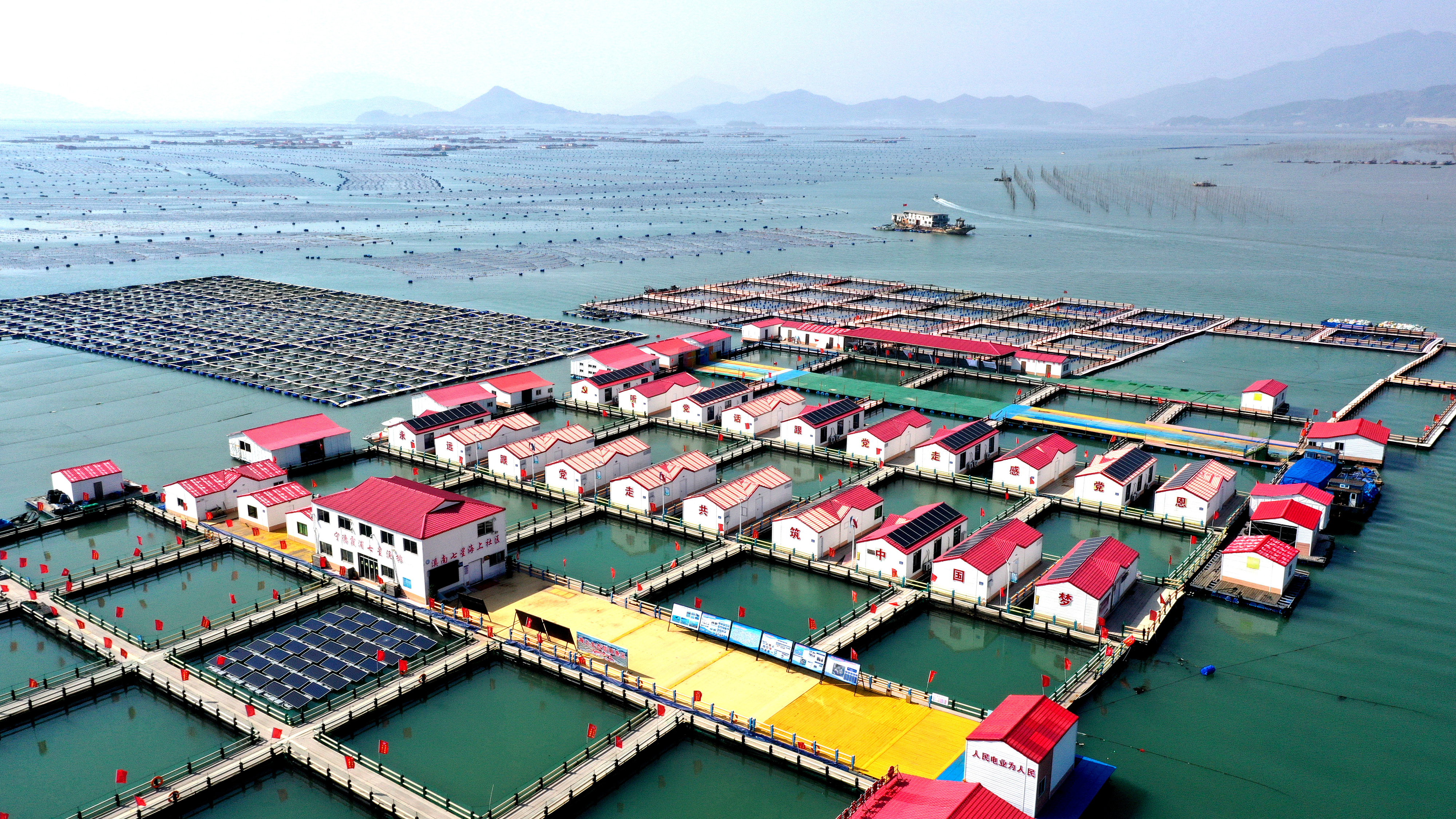 2024年3月20日，福建省寧德市，霞浦縣溪南鎮(zhèn)七星村漁排養(yǎng)殖示范區(qū)，漁民駕駛養(yǎng)殖船進(jìn)行海參養(yǎng)殖作業(yè)。